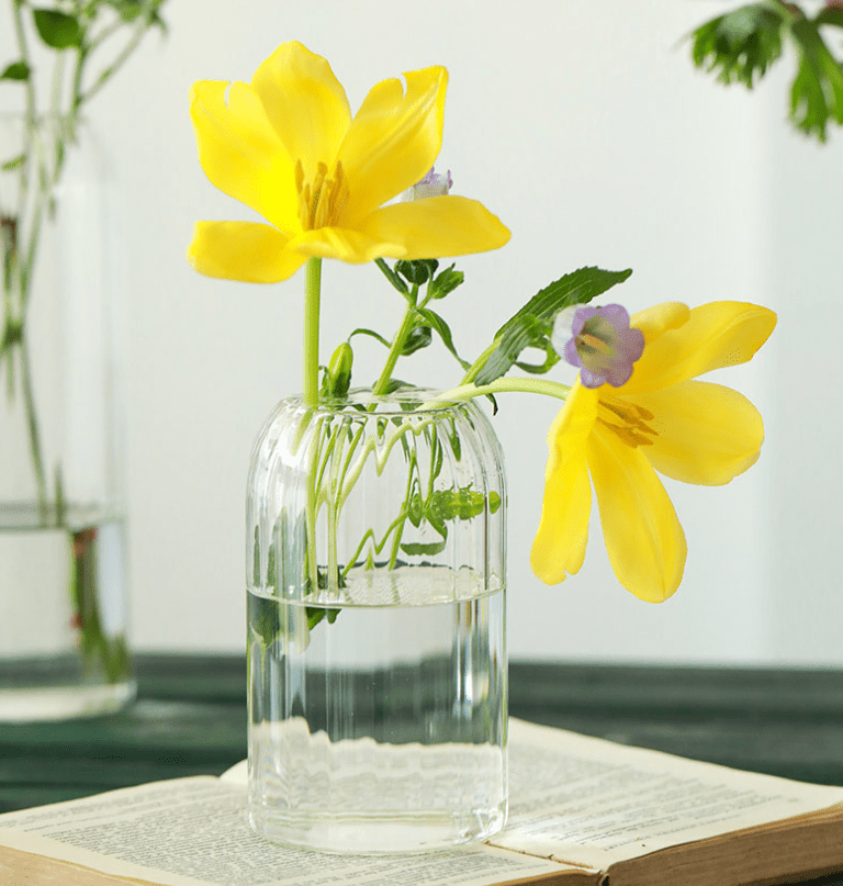 Stripes Clear Bud Vases, Borosilicate Light Weight Glass - HER Home Design Boutique